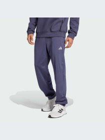 Брюки Adidas модель IW8416-KZ Фото