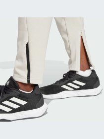 Брюки Adidas модель JP4944-KZ Фото