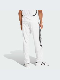 Брюки Adidas Adicolor модель JP1119-KZ Фото