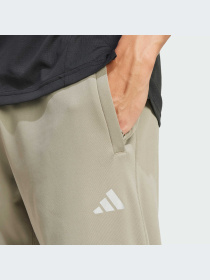 Брюки Adidas модель IW8415-KZ Фото