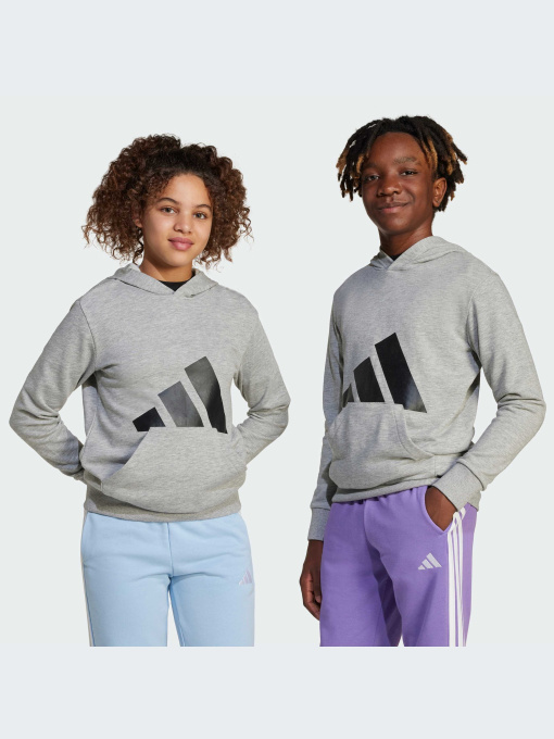 Худи и свитшоты Adidas модель JC9669-KZ Фото