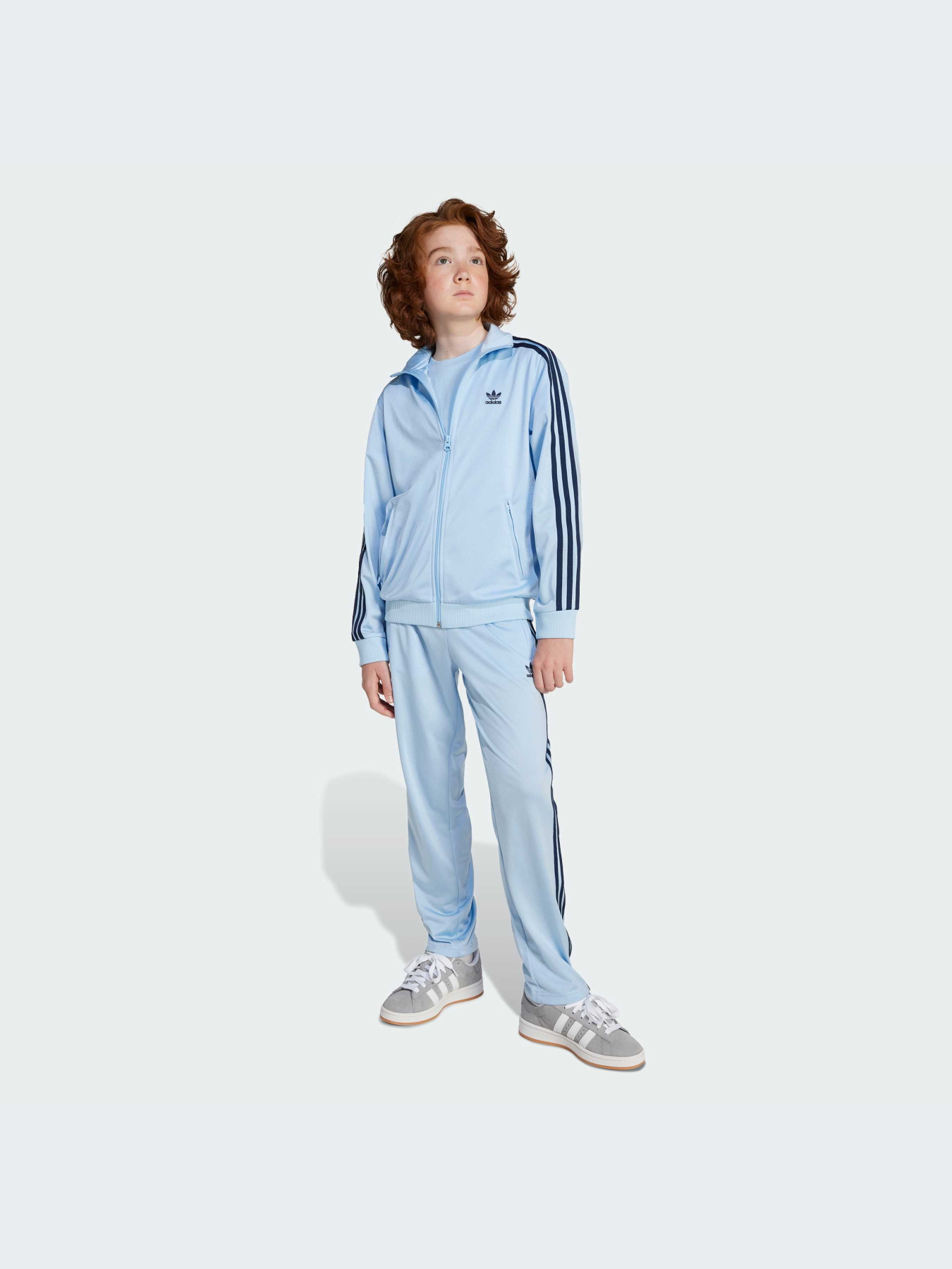 Худи и свитшоты Adidas Adicolor модель JD1621-KZ Фото