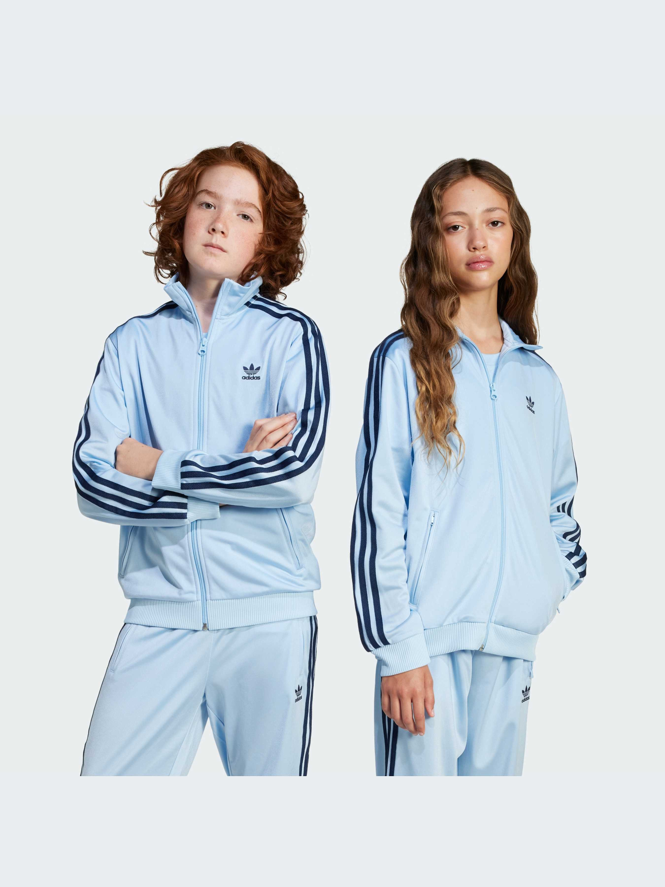 Худи и свитшоты Adidas Adicolor модель JD1621-KZ Фото