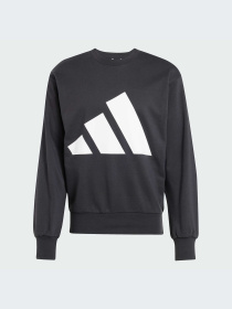 Худи и свитшоты Adidas модель JE8949-KZ Фото