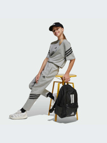 Брюки Adidas модель JJ4811-KZ Фото