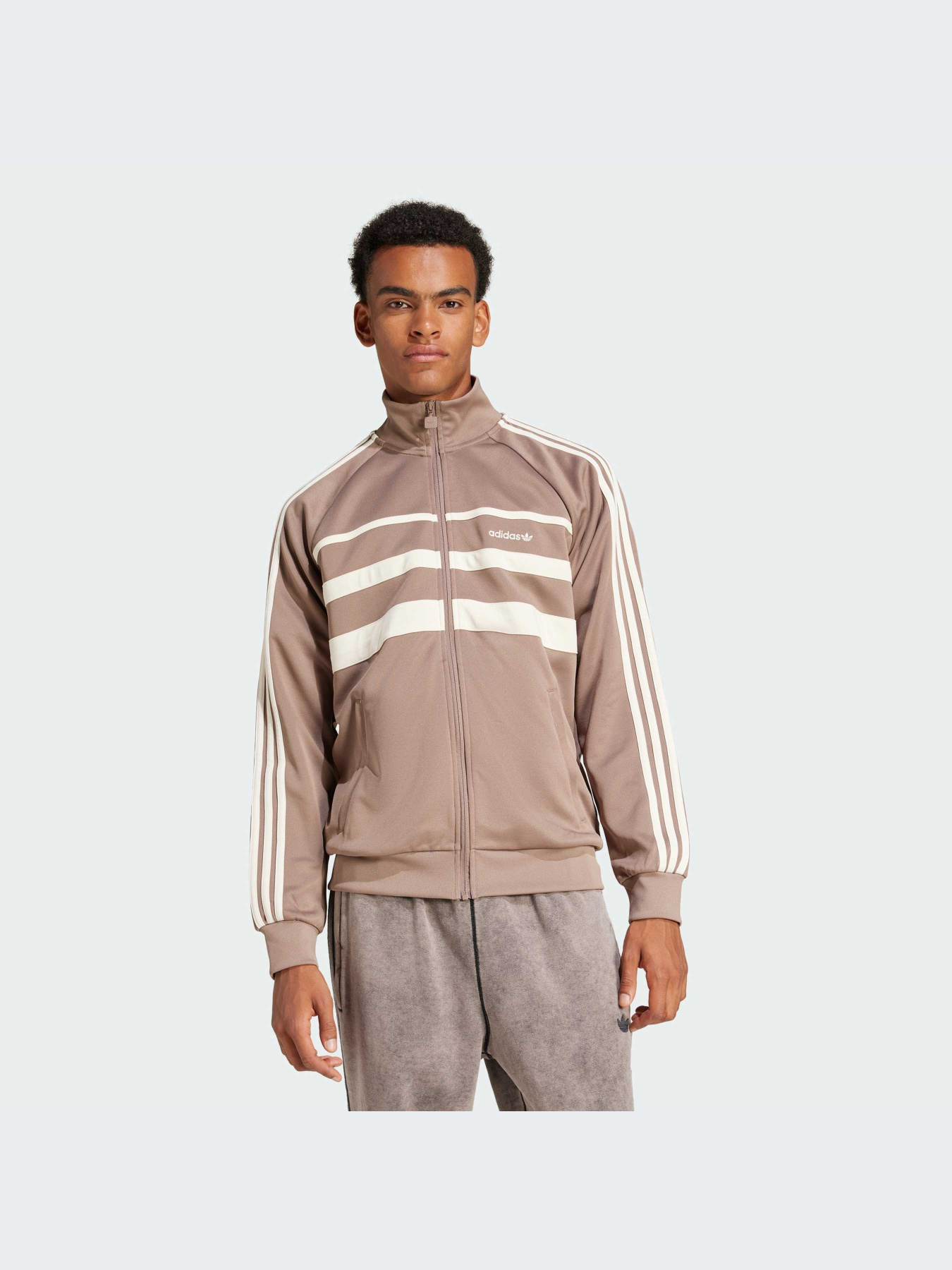 Худи и свитшоты Adidas Adicolor модель JP1043-KZ Фото