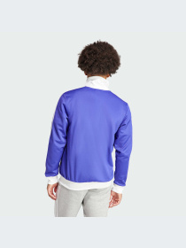 Худи и свитшоты Adidas Adicolor модель IP0416-KZ Фото