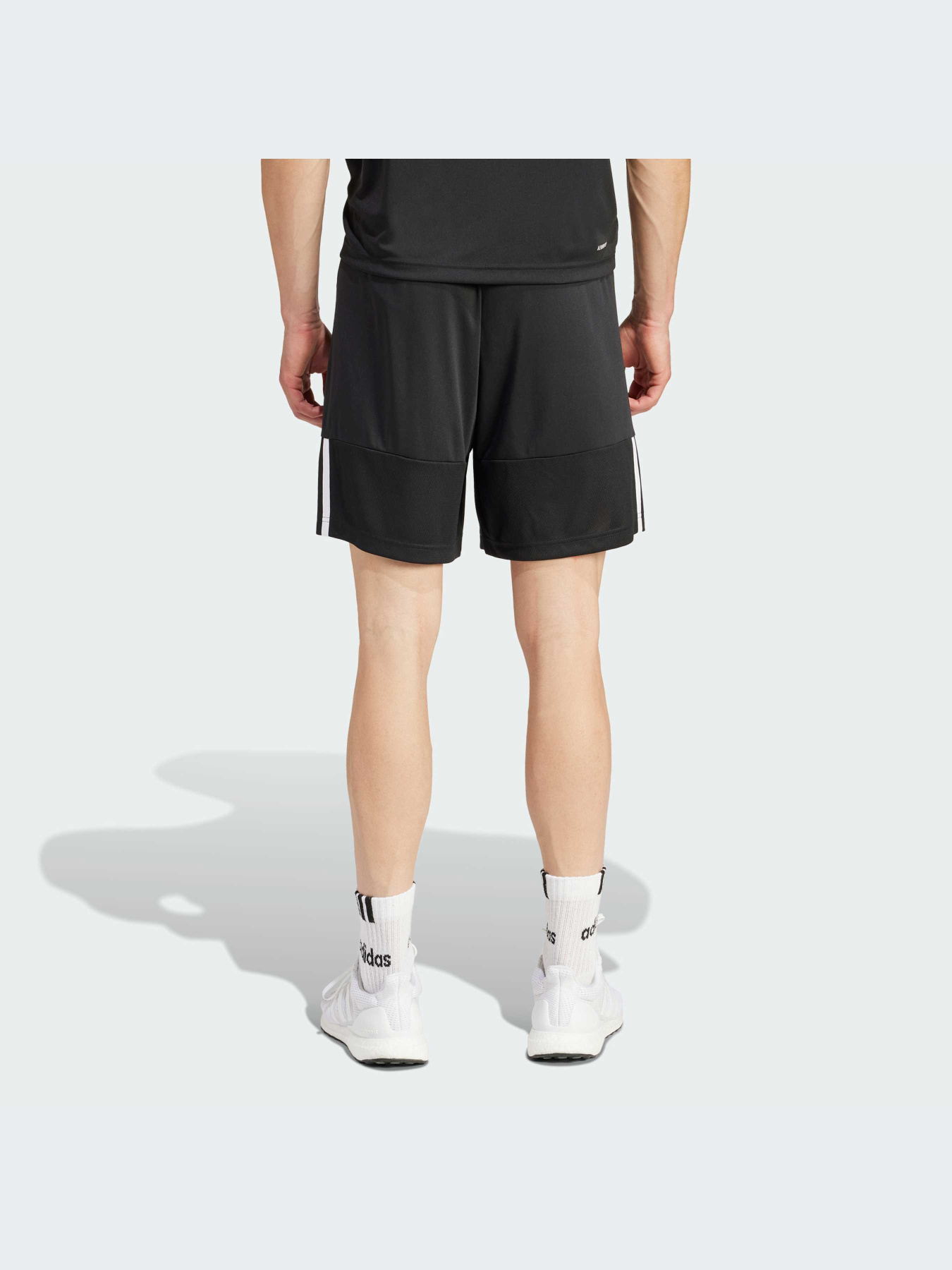 Шорты Adidas модель IR9736-KZ Фото