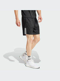 Шорты Adidas модель IR9736-KZ Фото