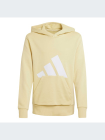 Худи и свитшоты Adidas модель JC9671-KZ Фото