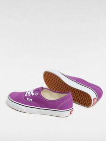Кеды Vans модель VN000D6GE2T1 Фото