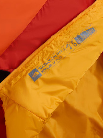 The North Face модель NF0A52EZAU41 Фото