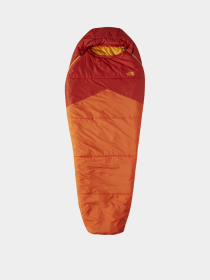 The North Face модель NF0A52EZAU41 Фото