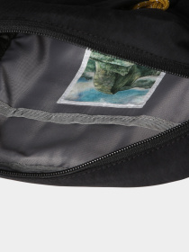Сумки The North Face модель NF0A52VTASX1 Фото