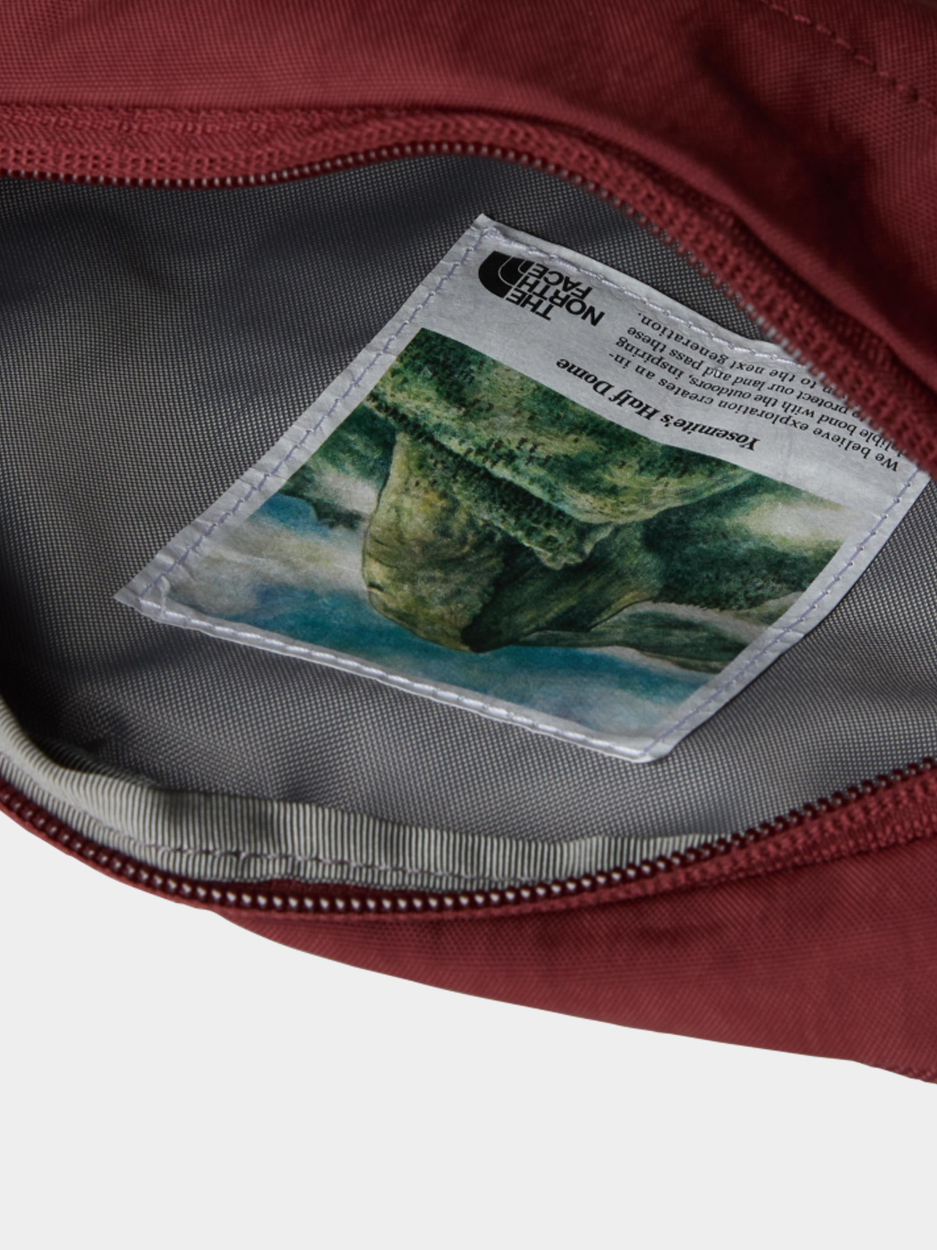 Сумки The North Face модель NF0A52VU82P1 Фото