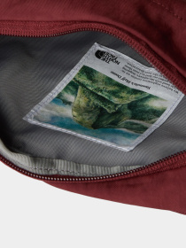 Сумки The North Face модель NF0A52VU82P1 Фото