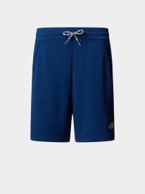 Шорты The North Face модель NF0A86U4D1R1 Фото