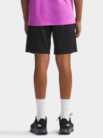 Шорты The North Face модель NF0A86U4JK31 Фото