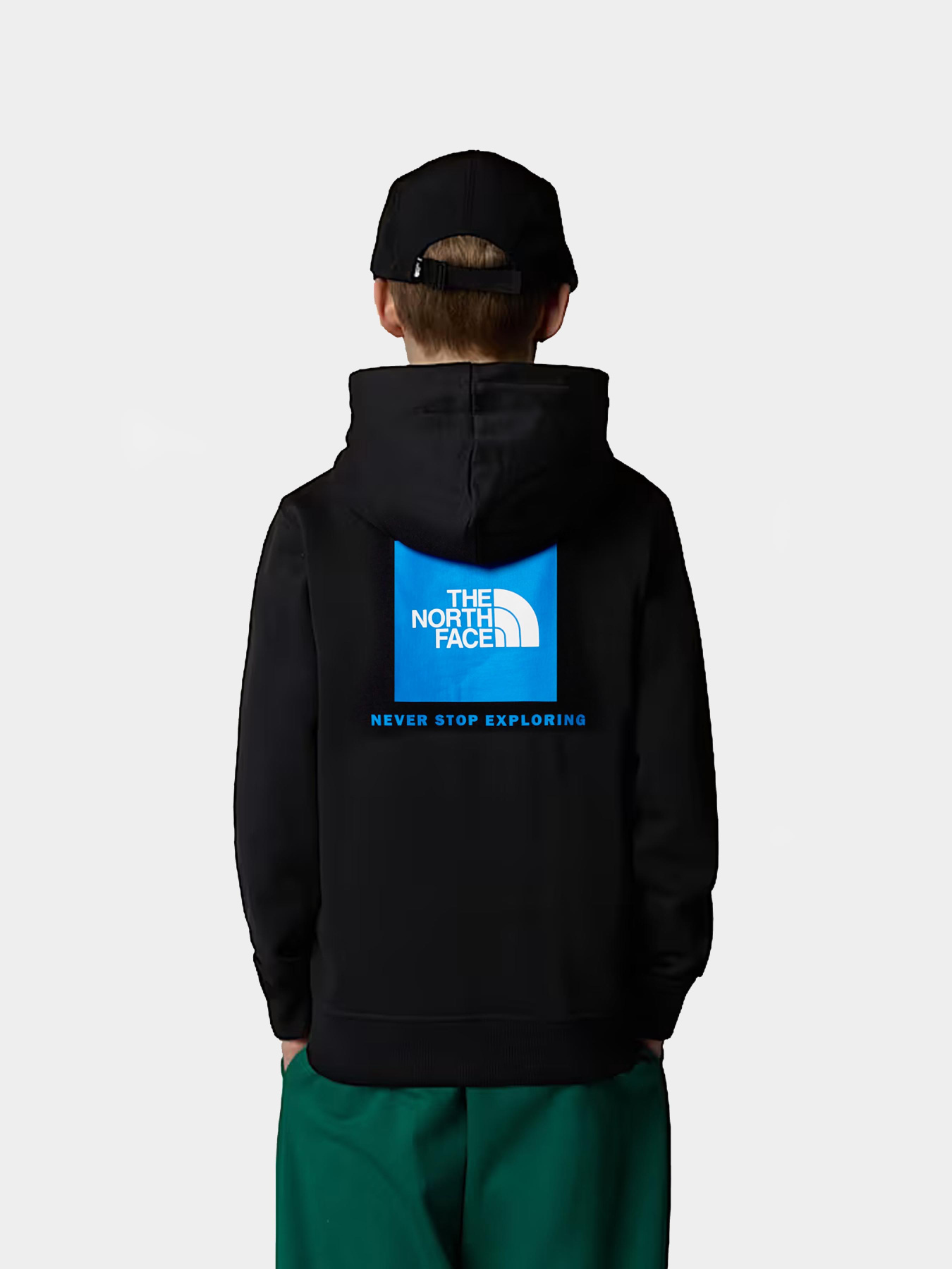 Худи и свитшоты The North Face модель NF0A89H91S91 Фото