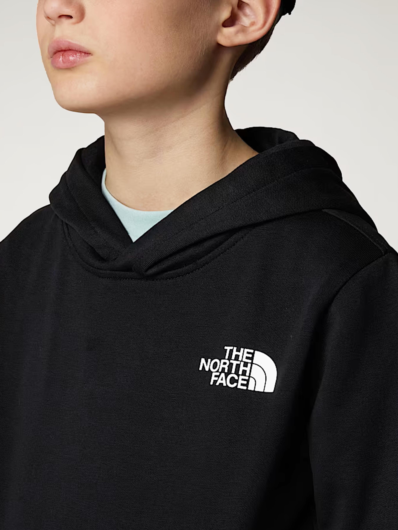 Худи и свитшоты The North Face модель NF0A89H91S91 Фото