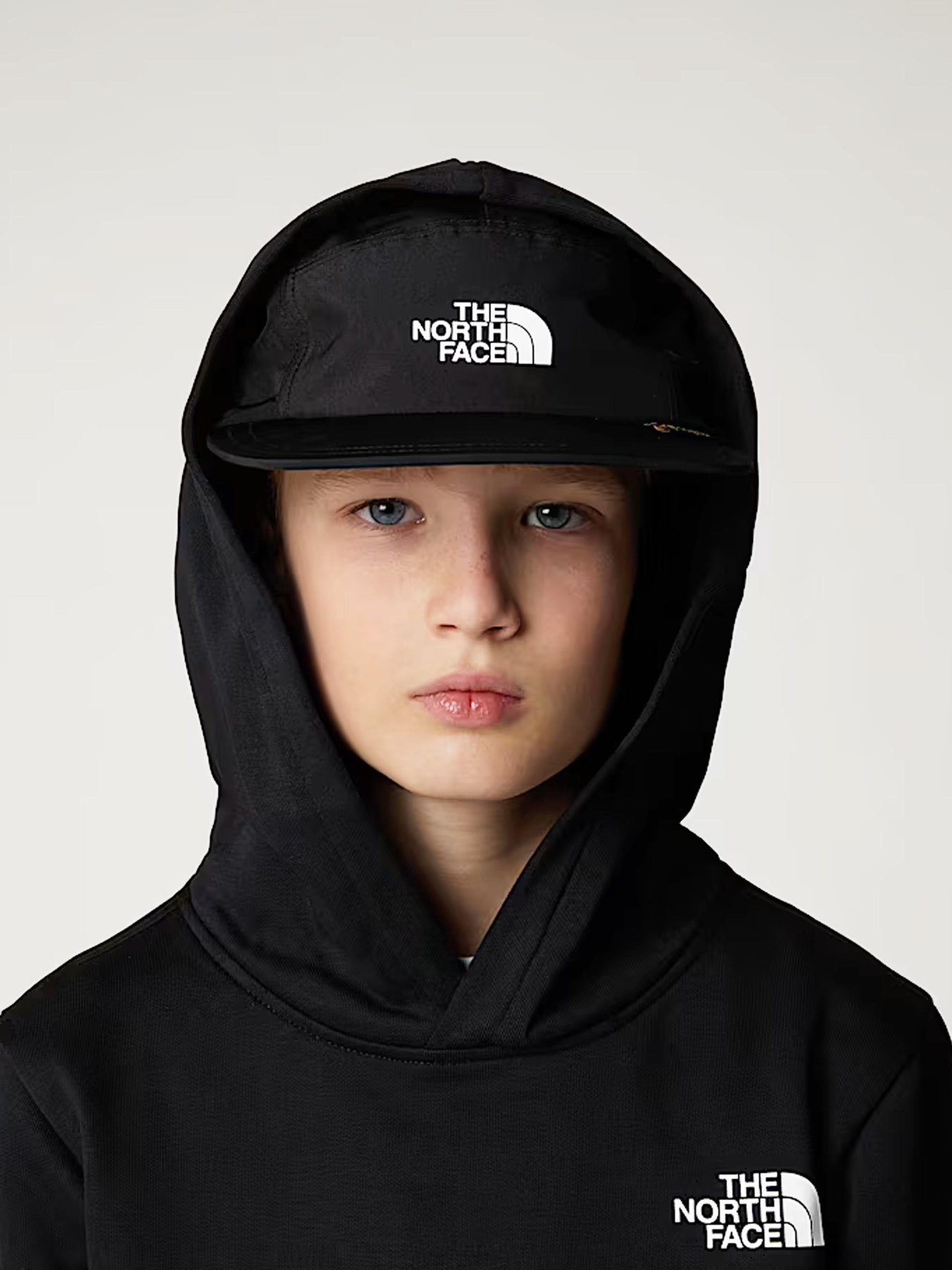 Худи и свитшоты The North Face модель NF0A89H91S91 Фото
