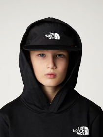 Худи и свитшоты The North Face модель NF0A89H91S91 Фото
