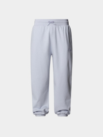 Брюки The North Face модель NF0A8C1F0TI1 Фото