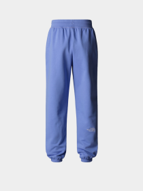 Брюки The North Face модель NF0A8C1G0YI1 Фото