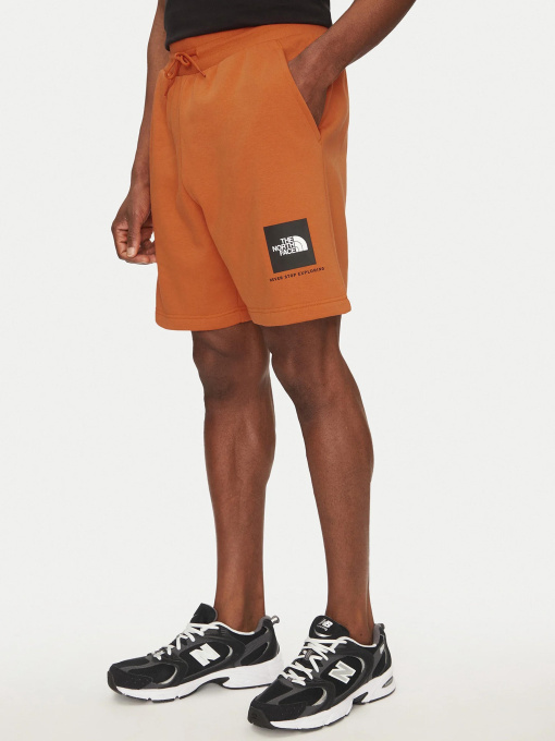 Шорты The North Face модель NF0A8C1J6D21 Фото