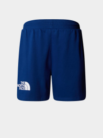 Шорты The North Face модель NF0A8C2SD1R1 Фото