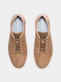 Кеды Timberland модель TB0A5TY5DR0 Фото