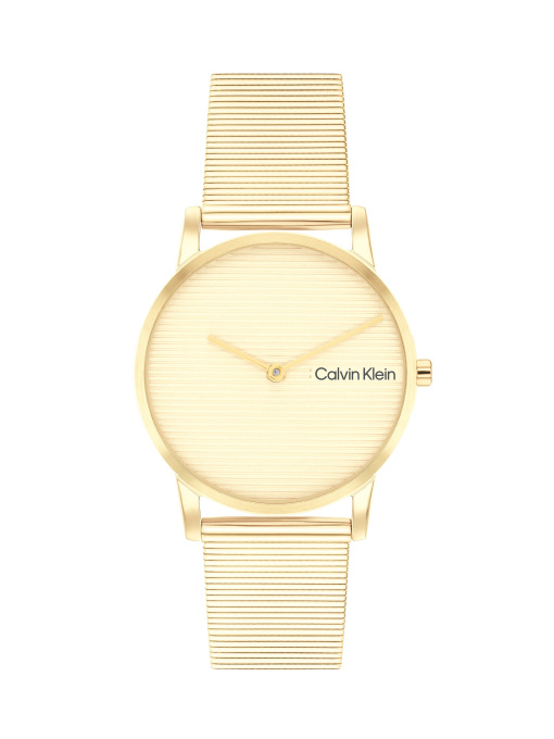 Часы Calvin Klein модель 25100035 Фото
