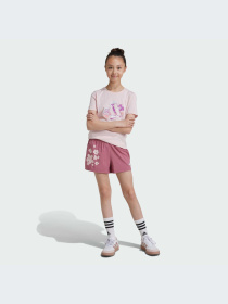 Шорты Adidas модель IW3290-KZ Фото
