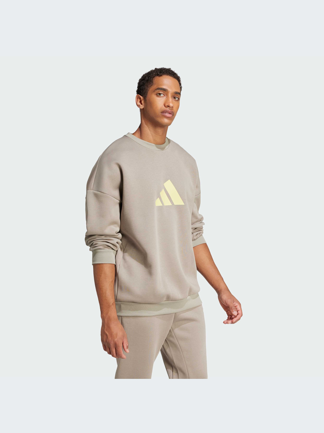Худи и свитшоты Adidas Icons модель JI8771-KZ Фото
