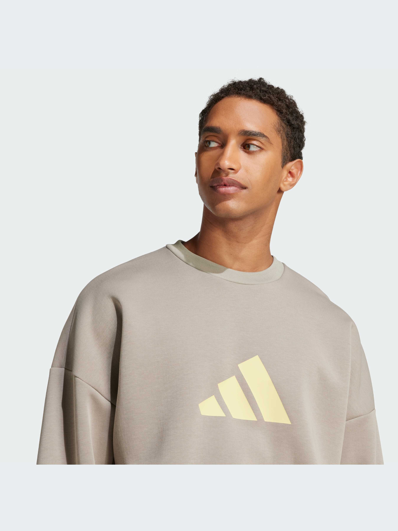 Худи и свитшоты Adidas Icons модель JI8771-KZ Фото