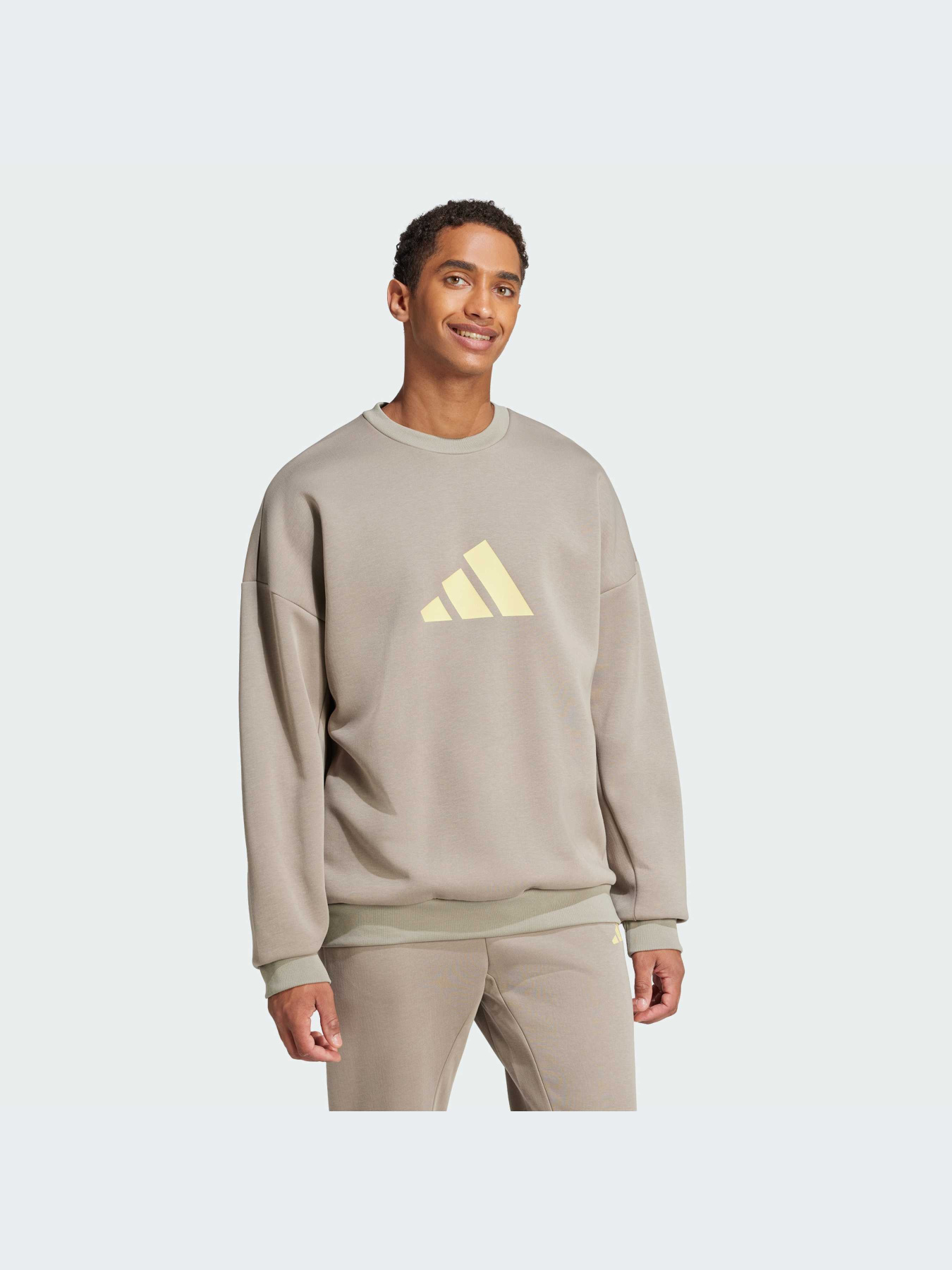 Худи и свитшоты Adidas Icons модель JI8771-KZ Фото