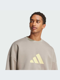 Худи и свитшоты Adidas Icons модель JI8771-KZ Фото