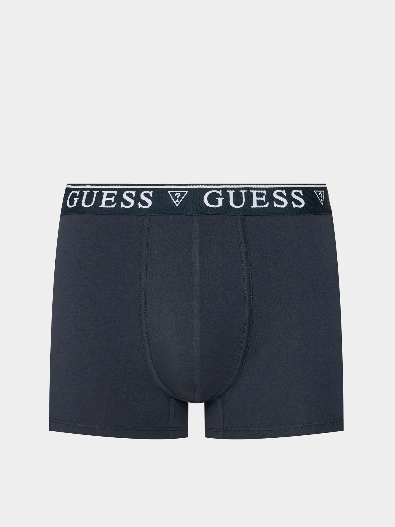 Нижнее белье GUESS модель U4YF00-KCD31-A73L Фото