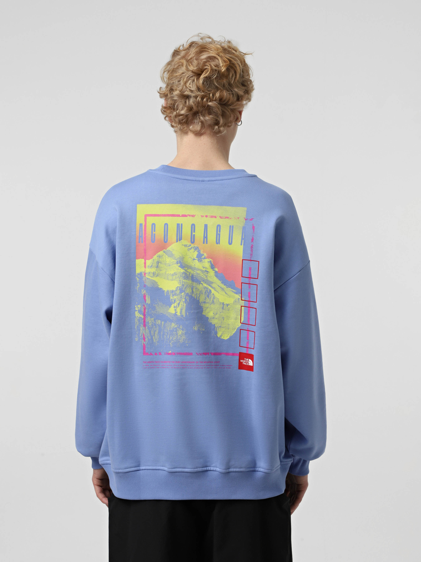 Худи и свитшоты The North Face модель NF0A8C1S0YI1 Фото