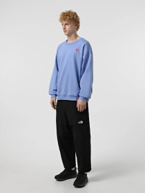 Худи и свитшоты The North Face модель NF0A8C1S0YI1 Фото