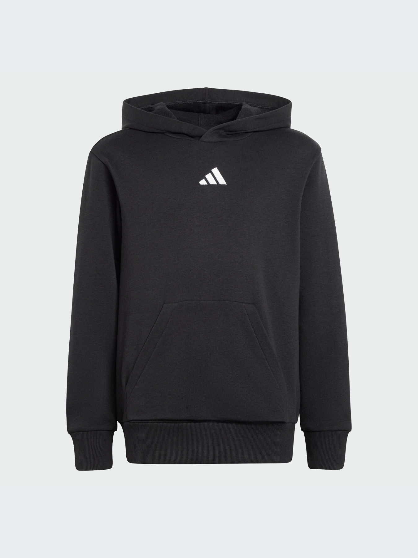 Худи и свитшоты Adidas модель JC9772-KZ Фото