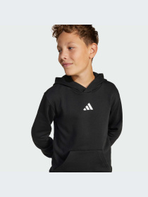 Худи и свитшоты Adidas модель JC9772-KZ Фото