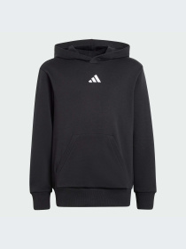 Худи и свитшоты Adidas модель JC9772-KZ Фото