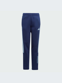 Брюки Adidas Tiro модель JC8069-KZ Фото