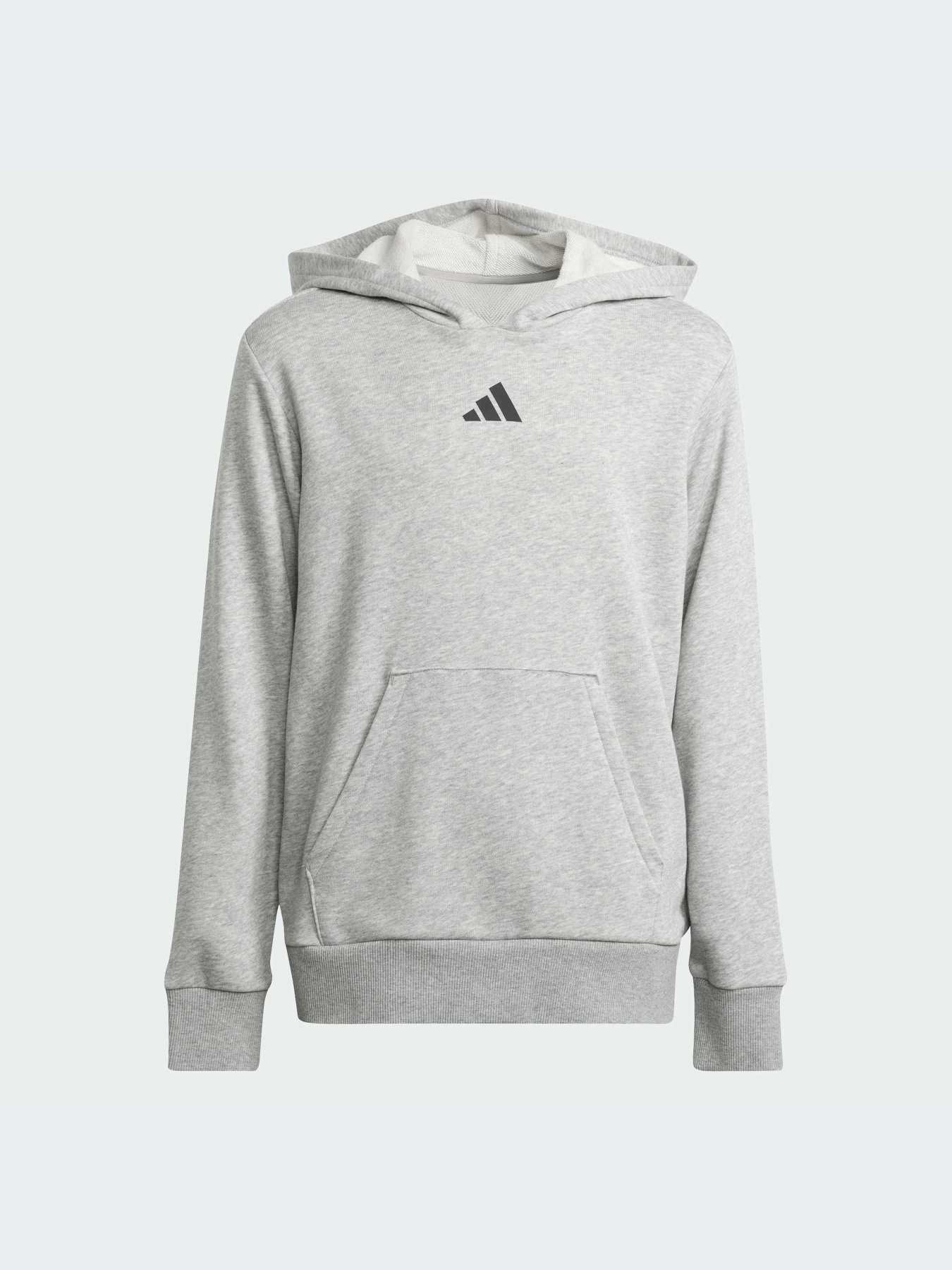 Худи и свитшоты Adidas модель JD3288-KZ Фото