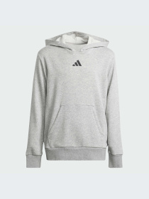 Худи и свитшоты Adidas модель JD3288-KZ Фото