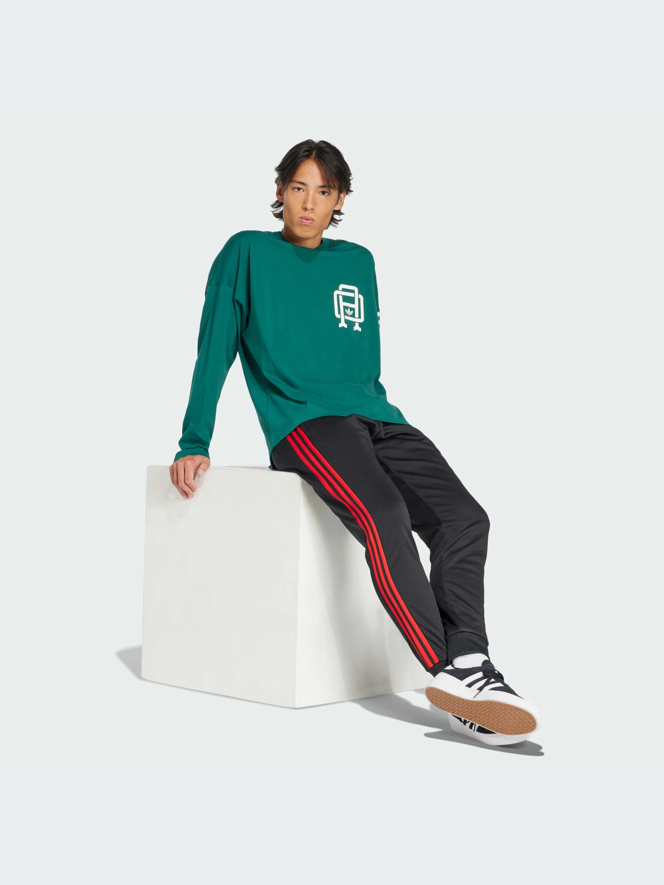 Худи и свитшоты Adidas Graphics модель JD3308-KZ Фото