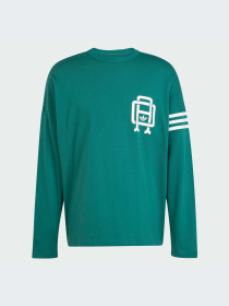 Худи и свитшоты Adidas Graphics модель JD3308-KZ Фото