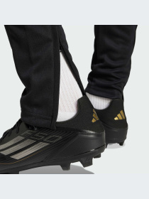 Брюки Adidas модель JE2782-KZ Фото
