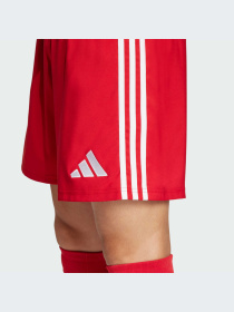 Шорты Adidas модель JN7157-KZ Фото